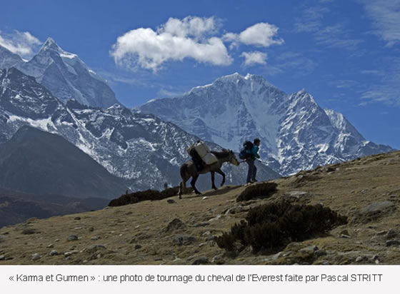 Cheval de l'Everest